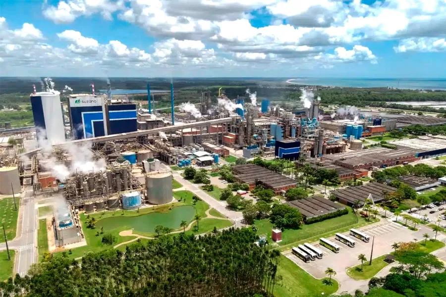 Suzano, Box Print e Merck se unem para neutralizar emissão de carbono em embalagens de medicamentos