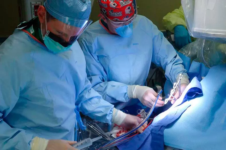 Vídeo-cirurgias transformam vidas em Mucuri: Mais de 300 histórias de sucesso Vídeo-cirurgias transformam vidas em Mucuri: Mais de 300 histórias de sucesso