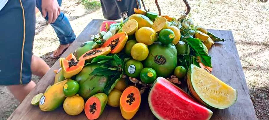 Expo Rural do Extremo Sul da Bahia Destaca Diversidade Produtiva e Cultural da Região