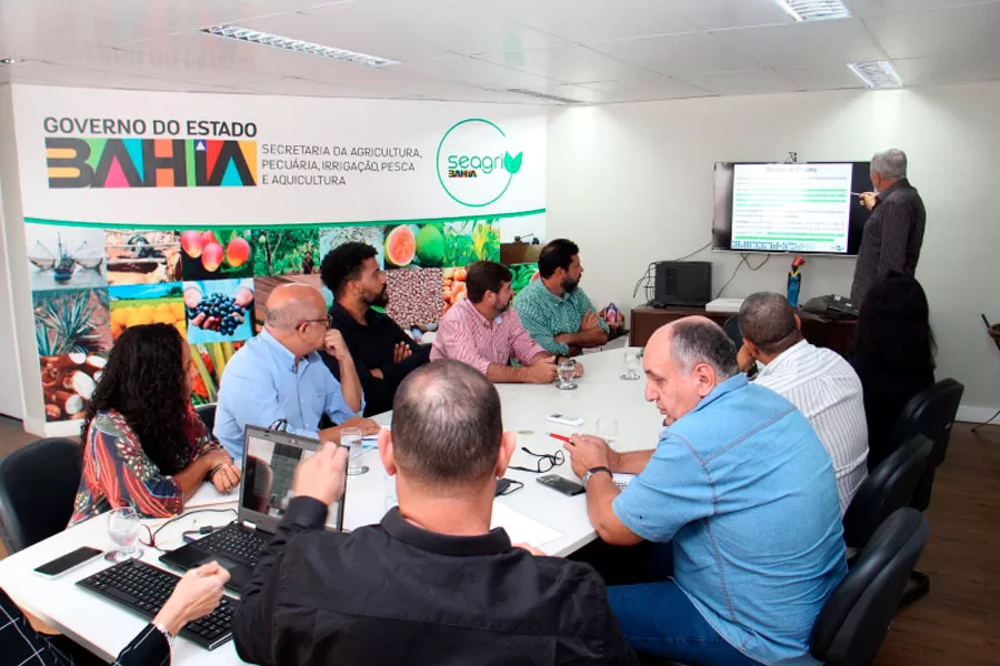 Bahia discute ações de prevenção e combate à mosca da carambola
