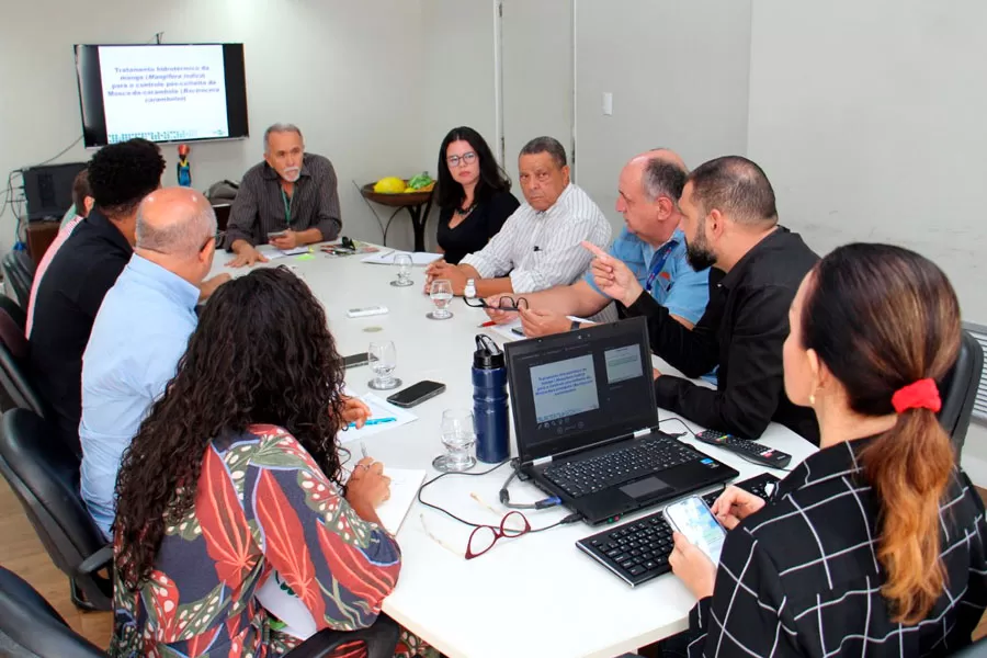 Bahia discute ações de prevenção e combate à mosca da carambola