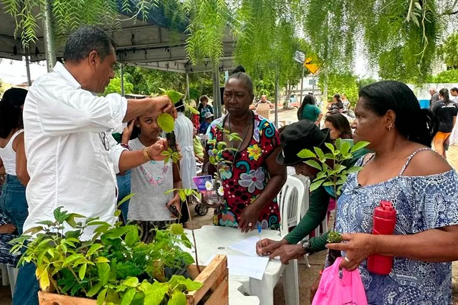 Dia da Educação Ambiental: Prefeitura celebra doação de 210 mudas nativas aos teixeirenses
