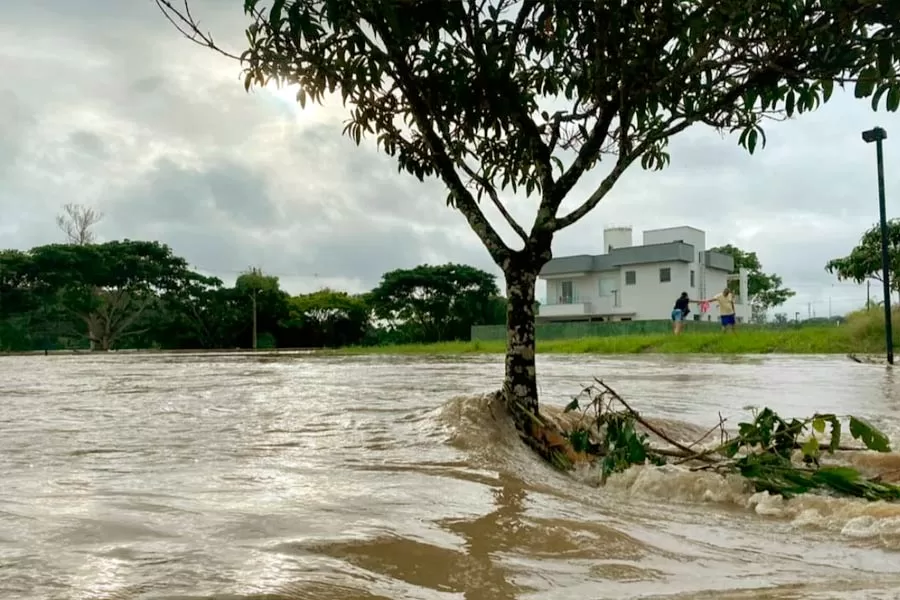  Enchentes: como proceder em caso de contato com a água contaminada