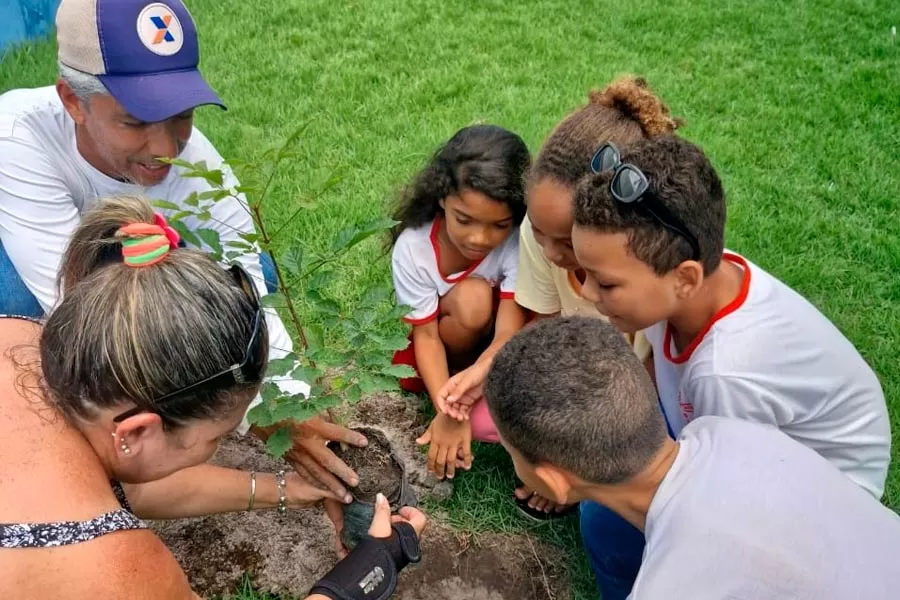 Prefeitura e EMBASA levam ação ambiental com plantio de mudas nativas e frutíferas a Escola Ismar Teixeira Guedes Prefeitura e EMBASA levam ação ambiental com plantio de mudas nativas e frutíferas a Escola Ismar Teixeira Guedes