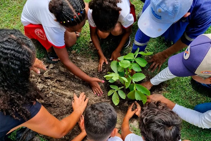 Prefeitura e EMBASA levam ação ambiental com plantio de mudas nativas e frutíferas a Escola Ismar Teixeira Guedes Prefeitura e EMBASA levam ação ambiental com plantio de mudas nativas e frutíferas a Escola Ismar Teixeira Guedes