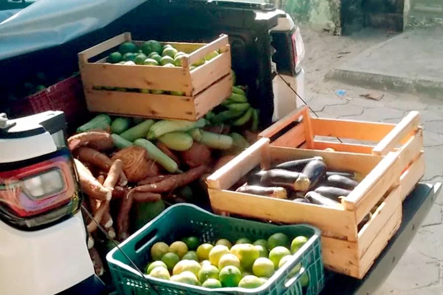 Mucuri retoma Programa de Aquisição de Alimentos para distribuir kits gratuitos de alimentação adequada à população