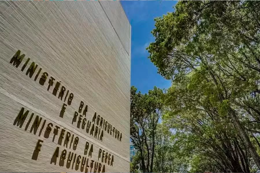 Ministério da Pesca abre inscrições para concurso com 264 vagas e salário de R$ 6,1 mil