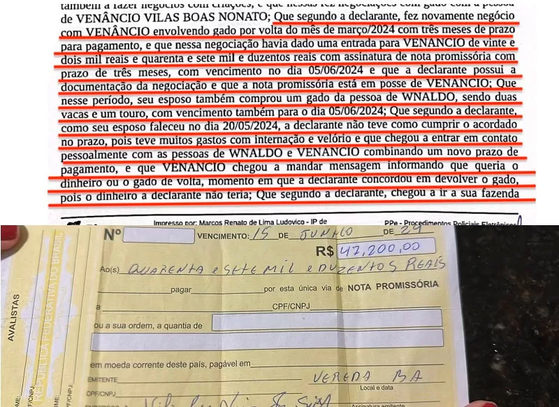 Venâncio Nonato: A busca pela reabilitação de sua imagem após uma Noite na Cadeia acusado de roubo de gado