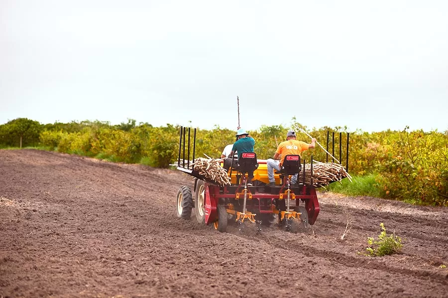 Comunidade rural ganha investimentos para o desenvolvimento da mandiocultura no Sul da Bahia