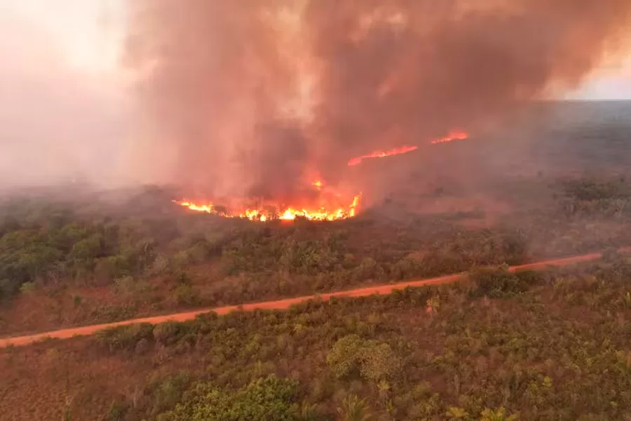 Brigadista que desapareceu enquanto combatia incêndio é encontrado morto carbonizado no Xingu em MT