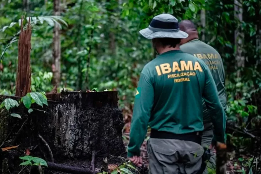 IBAMA e ICMBio vão oferecer 810 vagas em novos concursos