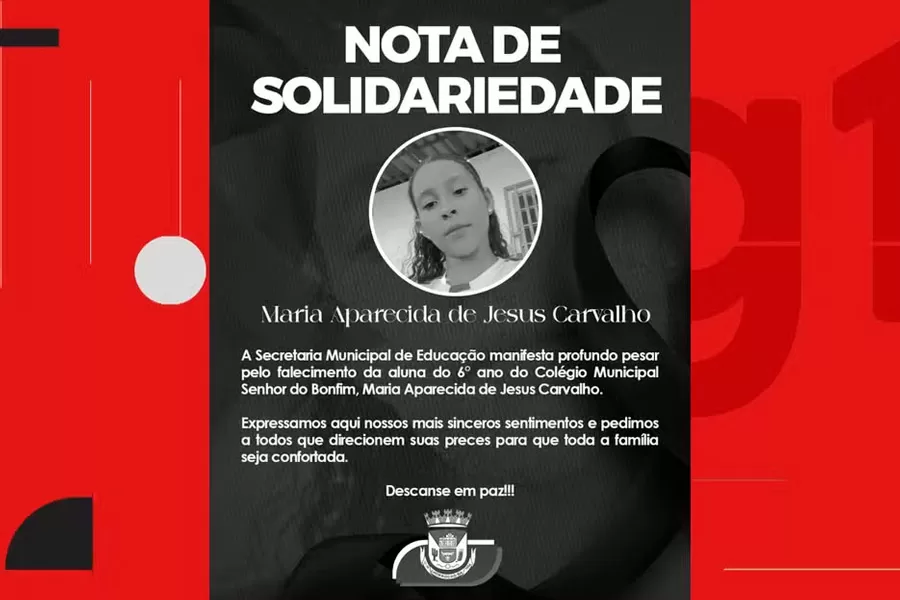 Adolescente de 12 anos morre após colocar cabeça para fora de ônibus e bater em poste
