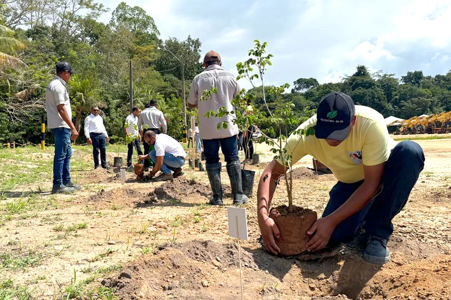 Setembro Amarelo: Plantio de ipês reforça a conscientização sobre a prevenção ao suicídio
