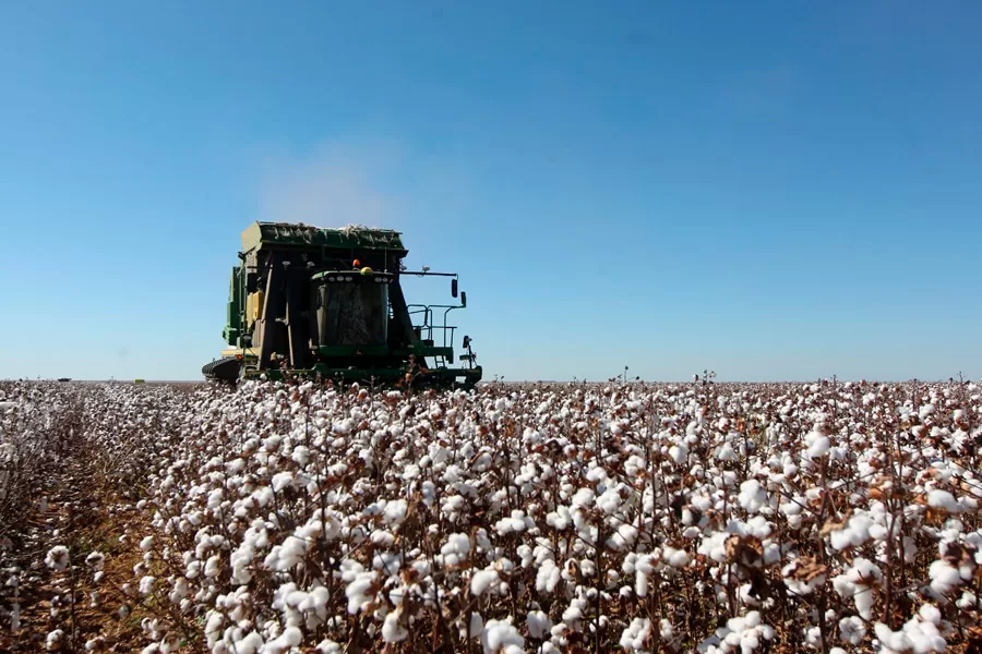 Bahia tem oito cidades entre as 100 mais ricas do agro no Brasil