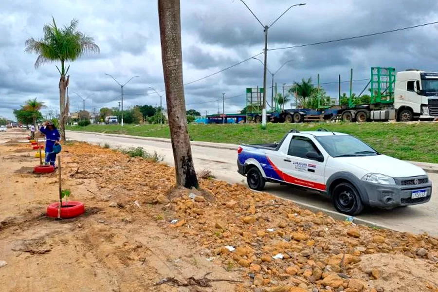 Secretaria de Obras inicia plantio de 50 novas árvores na Avenida Brasil, em Itabatã