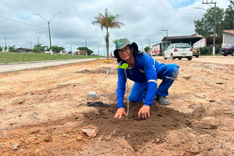 Secretaria de Obras inicia plantio de 50 novas árvores na Avenida Brasil, em Itabatã