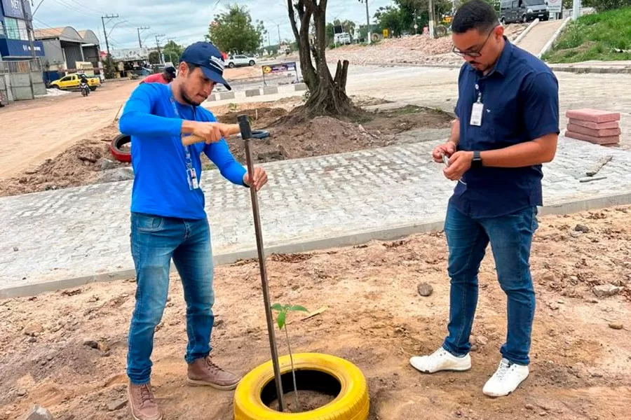 Secretaria de Obras inicia plantio de 50 novas árvores na Avenida Brasil, em Itabatã
