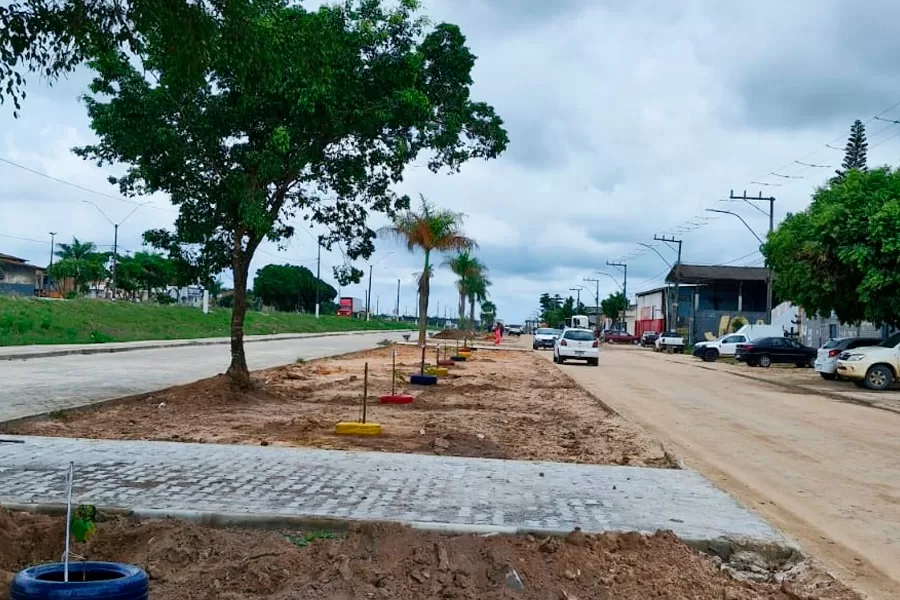 Secretaria de Obras inicia plantio de 50 novas árvores na Avenida Brasil, em Itabatã