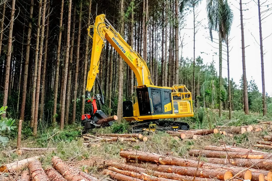 Curso de operador de máquinas florestais tem 20 vagas abertas pela Veracel e SENAI