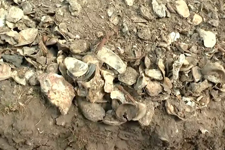 Sítio arqueológico com estruturas milenares é descoberto em vila de pescadores na Bahia