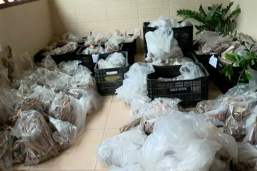 Sítio arqueológico com estruturas milenares é descoberto em vila de pescadores na Bahia