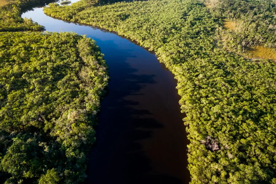 Fundo Amazônia tem nova doação de US$ 60 milhões da Noruega
