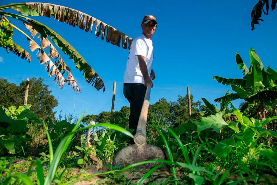 Prefeitura publica edital para aquisição de alimentos da Agricultura Familiar 2025 