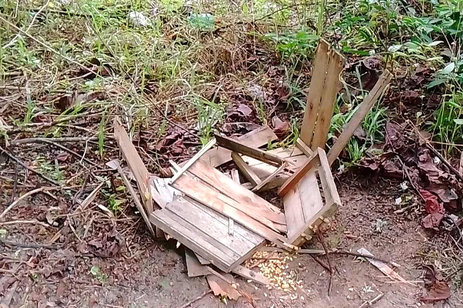 Suzano registra mais de 140 ocorrências de caça irregular em áreas florestais do Espírito Santo e Bahia