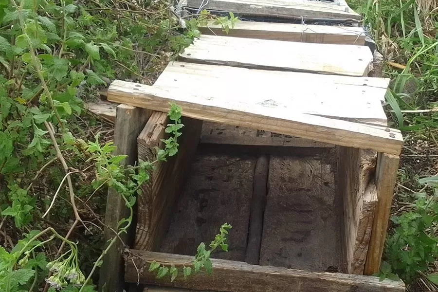 Suzano registra mais de 140 ocorrências de caça irregular em áreas florestais do Espírito Santo e Bahia