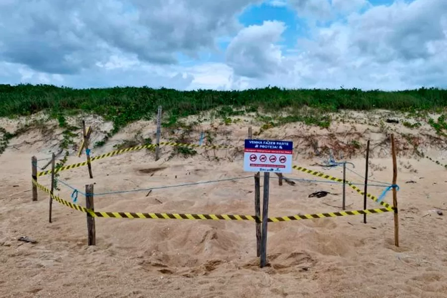 Prefeitura de Mucuri instala placas para proteger tartarugas marinhas na orla Prefeitura de Mucuri instala placas para proteger tartarugas marinhas na orla