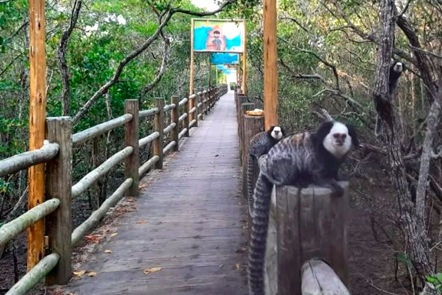 Conheça Mucuri, um paraíso tropical entre matas, rios, lagoas e praias imaculadas