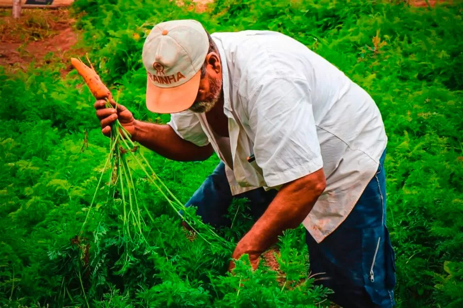 Prefeitura de Teixeira de Freitas emite primeiro Cadastro Nacional da Agricultura Familiar (CAF) 