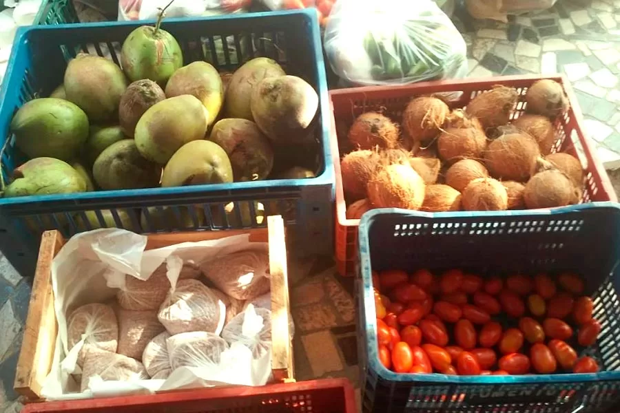 Programa de Aquisição de Alimentos reinicia em Mucuri contemplando famílias vulneráveis