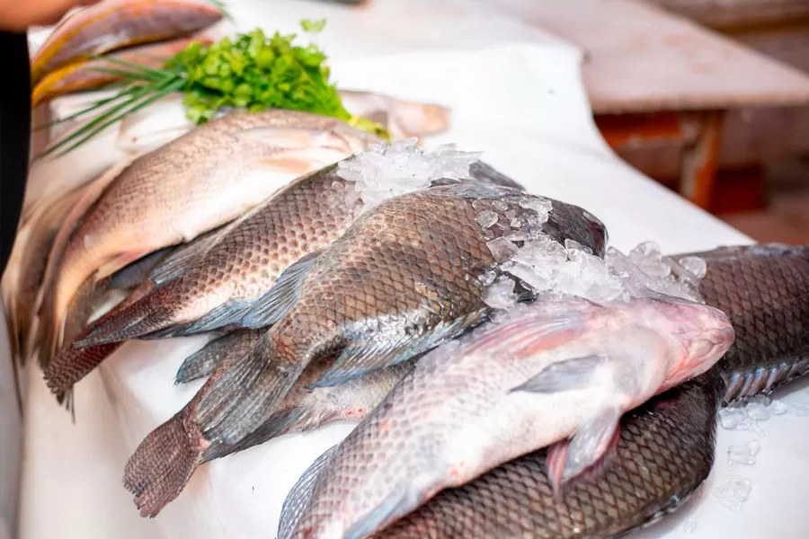 Peixaria do Mercado Municipal se prepara para atender a demanda da Semana Santa Peixaria do Mercado Municipal se prepara para atender a demanda da Semana Santa