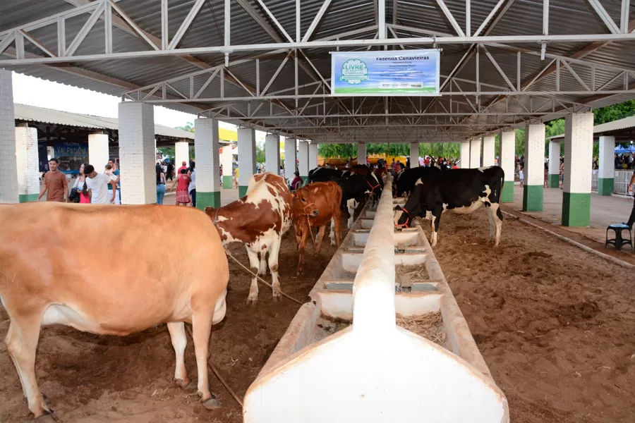EXPOAGRI 2025 investe em novos espaços para garantir bem-estar animal e capacitar produtores