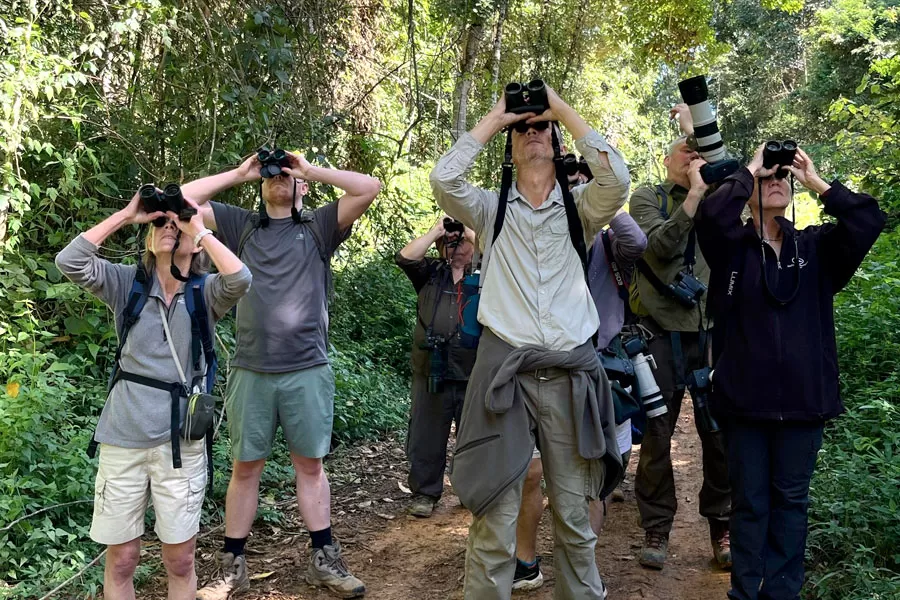 Potencial da Bahia para o turismo de observação de aves atrai operadores de viagens internacionais