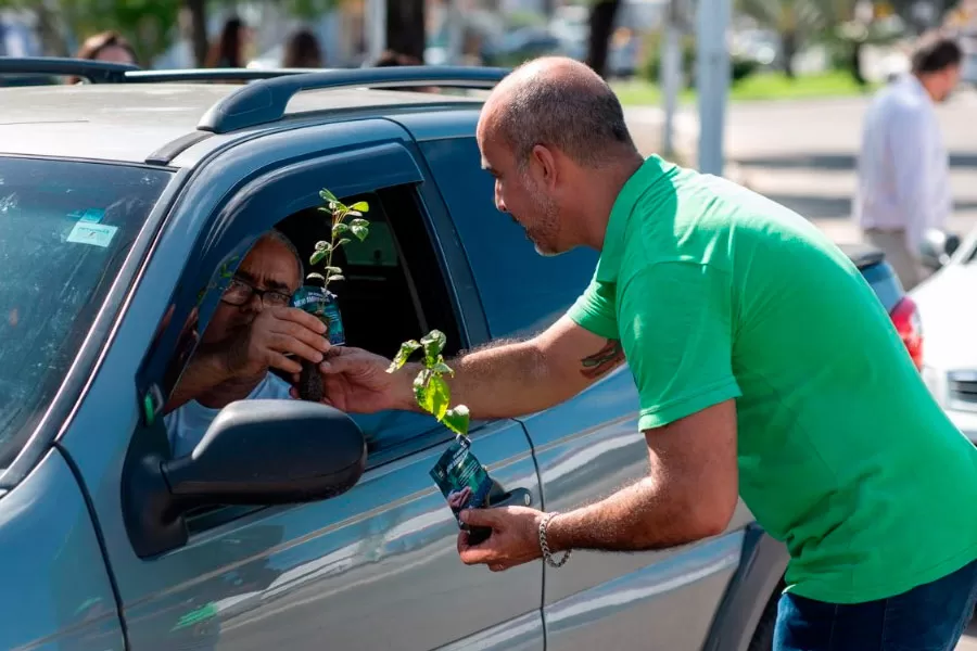 Prefeitura inicia Mês do Meio Ambiente com drive thru de mudas nativas da Mata Atlântica