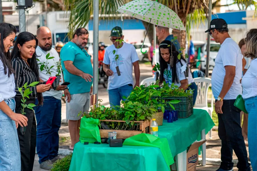 Prefeitura inicia Mês do Meio Ambiente com drive thru de mudas nativas da Mata Atlântica Prefeitura inicia Mês do Meio Ambiente com drive thru de mudas nativas da Mata Atlântica