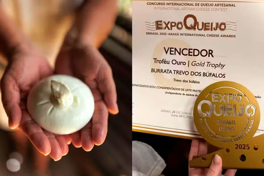 Queijo produzido em fazenda no extremo sul da Bahia vence concurso internacional