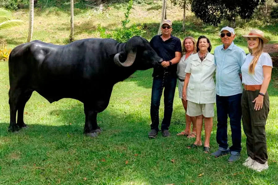 Queijo produzido em fazenda no extremo sul da Bahia vence concurso internacional