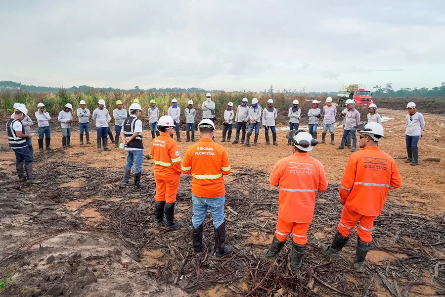 No Dia de Proteção às Florestas, Suzano destaca programa que já impactou mais de 8 mil pessoas em 2025