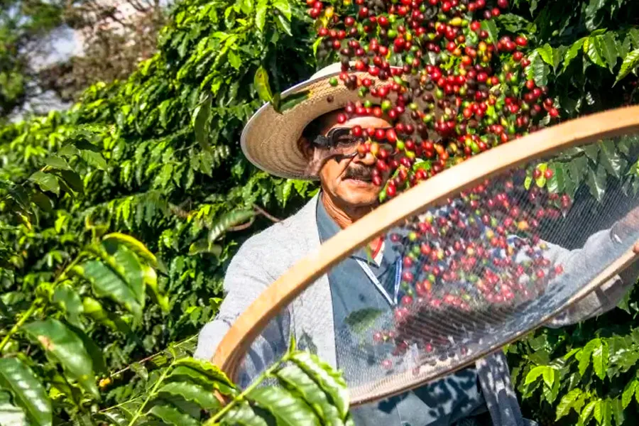Dia de Campo integra conhecimento, inovação e novas experiências para o Extremo-Sul baiano