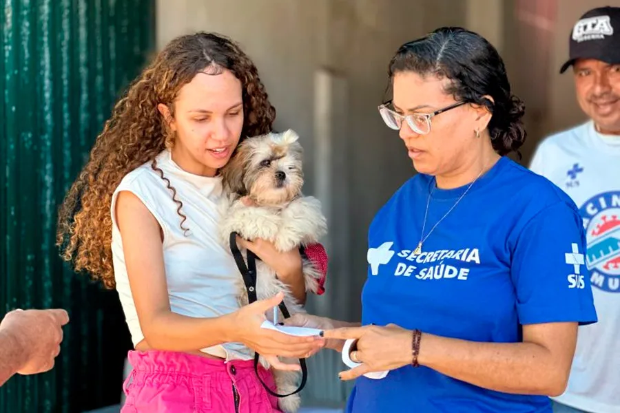 Dia D da vacinação antirrábica protege mais de 1,4 mil cães e gatos em Mucuri