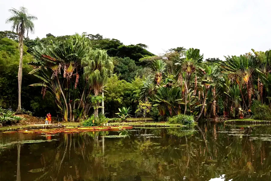 Concurso de Fotografia integra programação do Dia Mundial da Limpeza