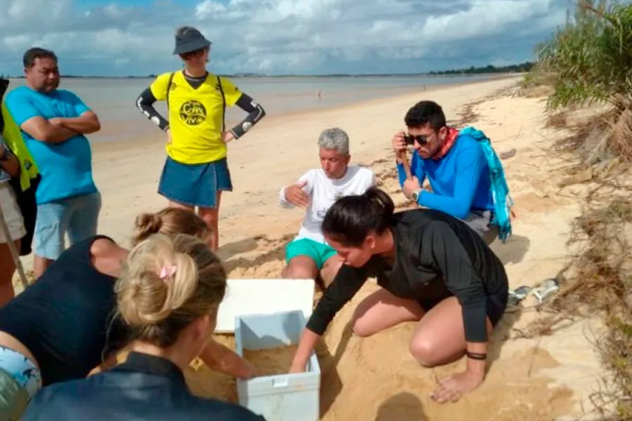 Mucuri se destaca no II Encontro de Tartarugueiros do Extremo Sul da Bahia com recorde de ninhos e filhotes monitorados