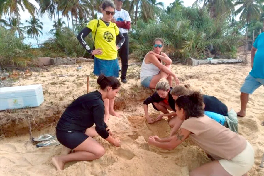 Mucuri se destaca no II Encontro de Tartarugueiros do Extremo Sul da Bahia com recorde de ninhos e filhotes monitorados