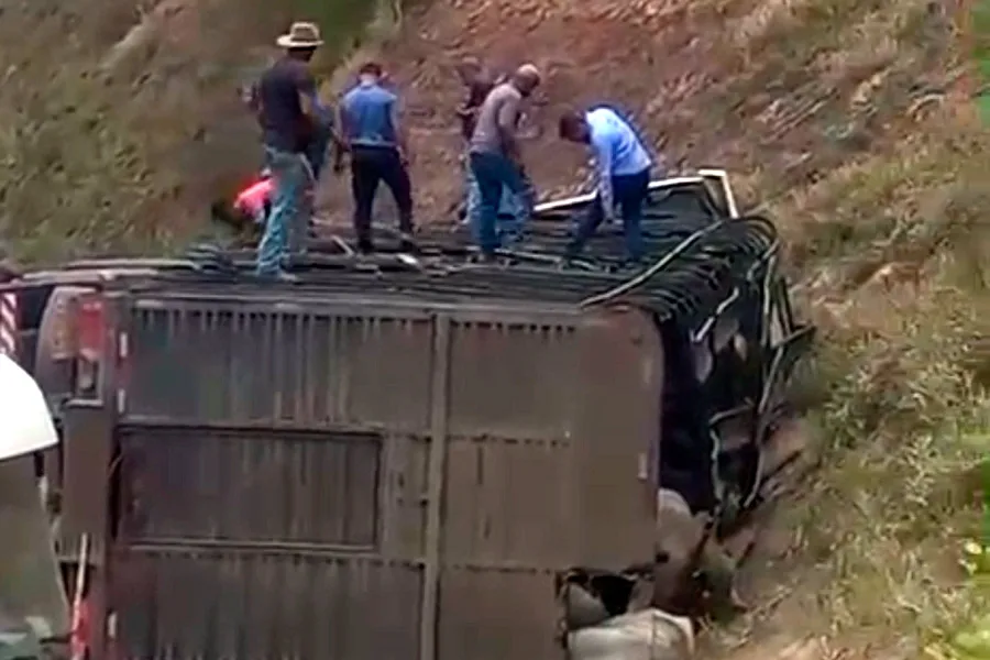 Caminhão com 100 bovinos tomba na BR-101; carga é saqueada e motorista escapa ileso Caminhão com 100 bovinos tomba na BR-101; carga é saqueada e motorista escapa ileso