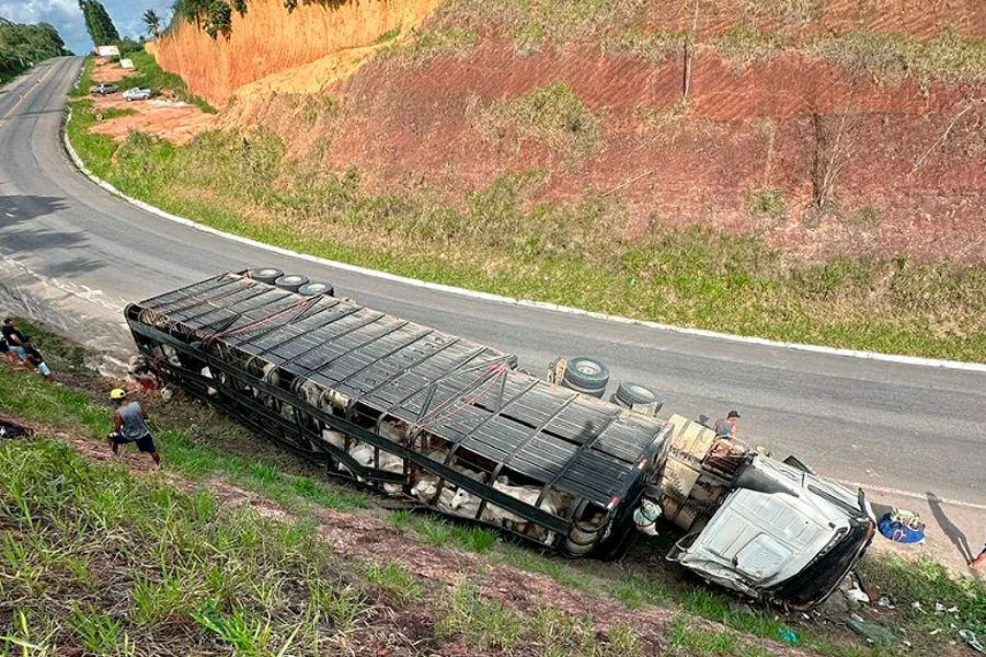 Acidente com carreta deixa 15 animais mortos e provoca horas de interdição na BR-101