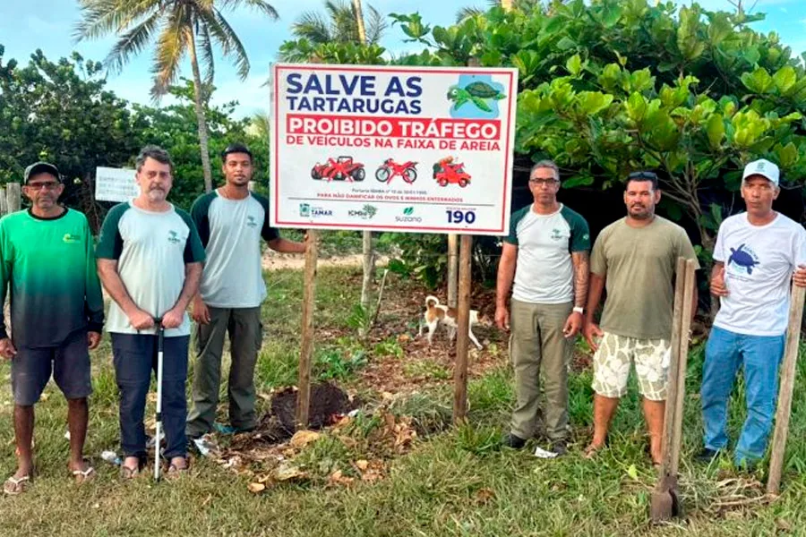 Mucuri fortalece parceria com Centro TAMAR para proteção das tartarugas marinhas