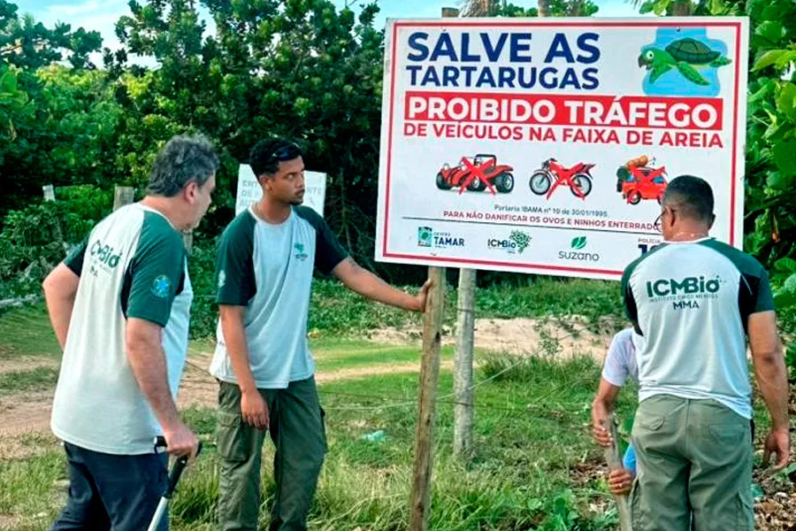 Mucuri fortalece parceria com Centro TAMAR para proteção das tartarugas marinhas